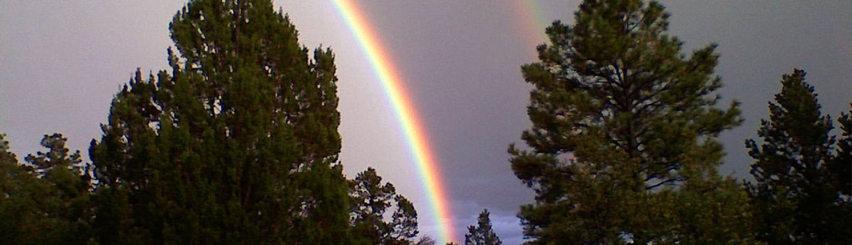 Trees with rainbow