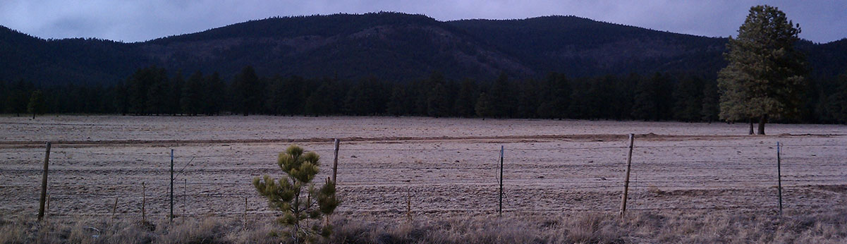 Empty field with mountains in back